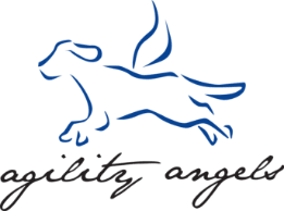 Agility Angels logo