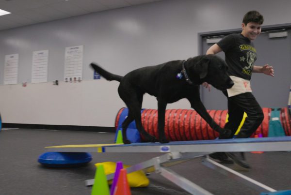 Photo of a young boy running along side his dog at an indoor Agility Angels team sport event.